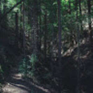 Meet your Posher, Hunter